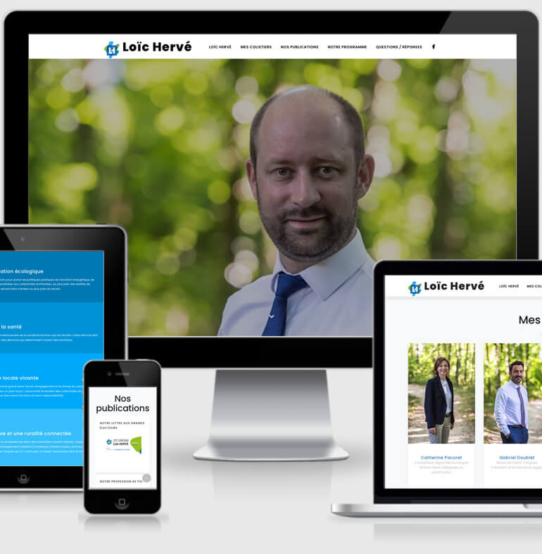 Loïc Hervé | Politique