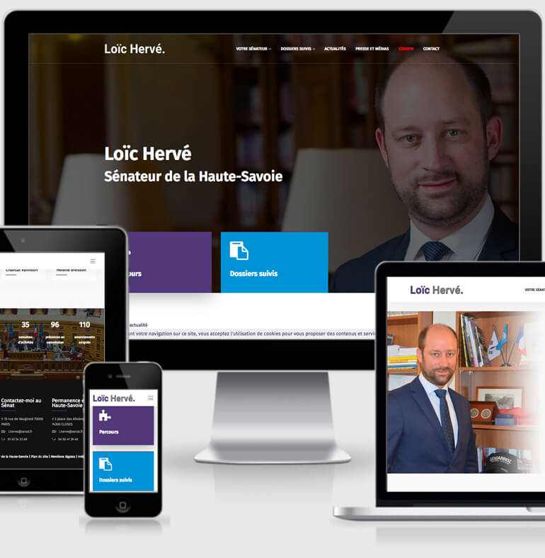 Loïc Hervé | Politique