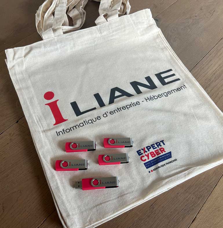 Iliane | Informatique