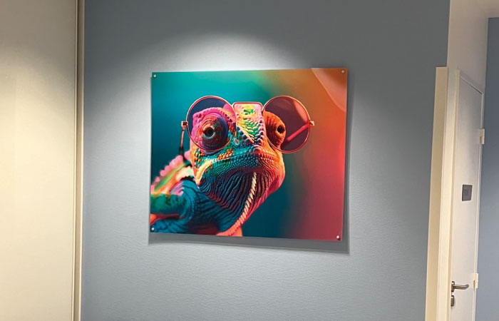 Égayez vos locaux avec style !