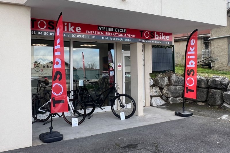 Oriflamme et enseigne