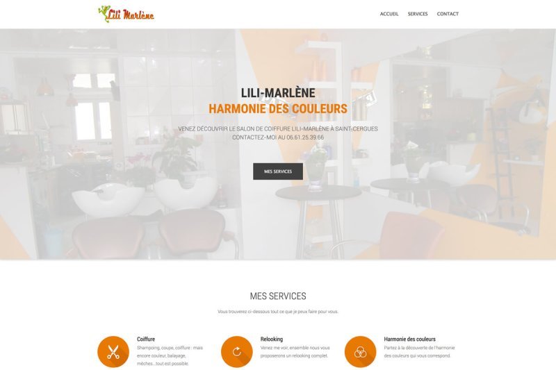 Site Web page d'accueil