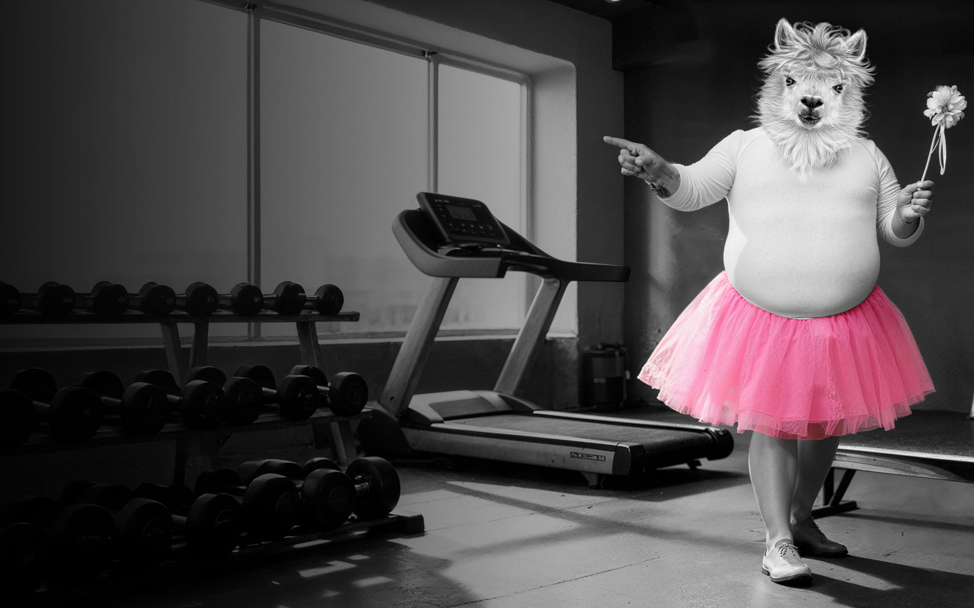 Creativité OAK-Webdesign